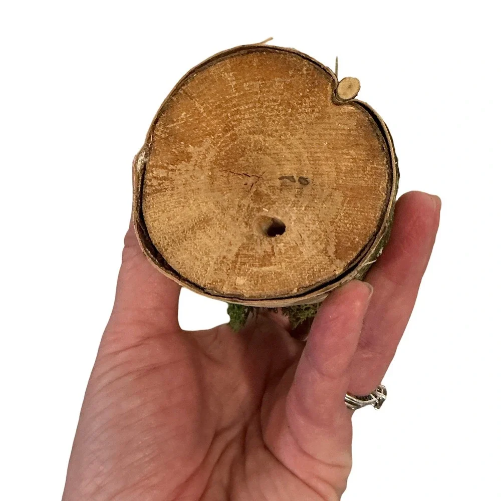 Handmade Artificial Succulent in Birch Log‎ with Moss Rustic Woodland Home Decor